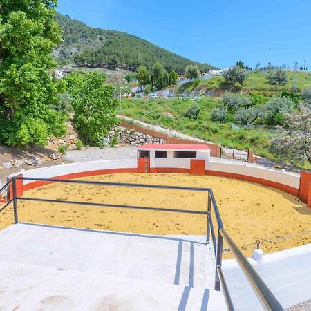 Casa Flores Con Piscina Interior Climatizada Alcaucín エクステリア 写真