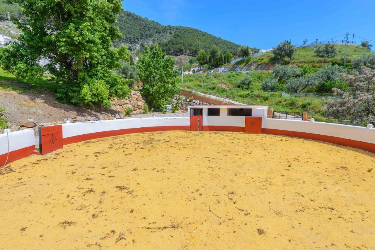 Casa Flores Con Piscina Interior Climatizada Alcaucín エクステリア 写真