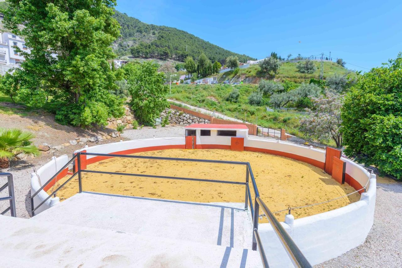Casa Flores Con Piscina Interior Climatizada Alcaucín エクステリア 写真